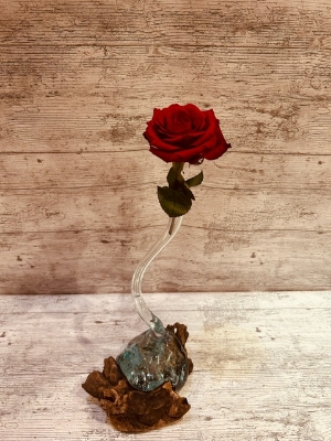 Brown Glass Over Driftwood Bud Vase with Single Red Rose