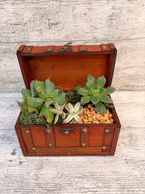 Small Chest Planter