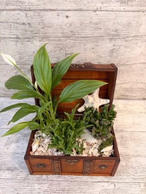 Treasure Chest Planter