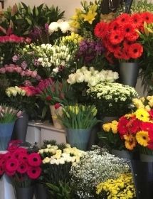 Florists Choice