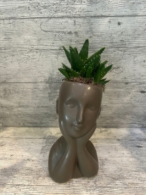 Planted Head Sculpture.