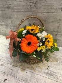 Zesty Large Luxury Woven Basket Arrangement