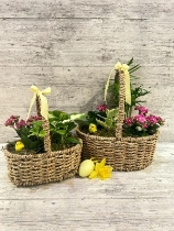 Mixed Indoor Easter Chick Basket