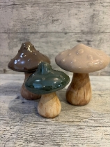 Mushroom Family