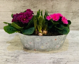 Planted spring zinc flower planter