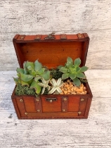 Small Chest Planter