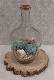 Terrarium with Succulents